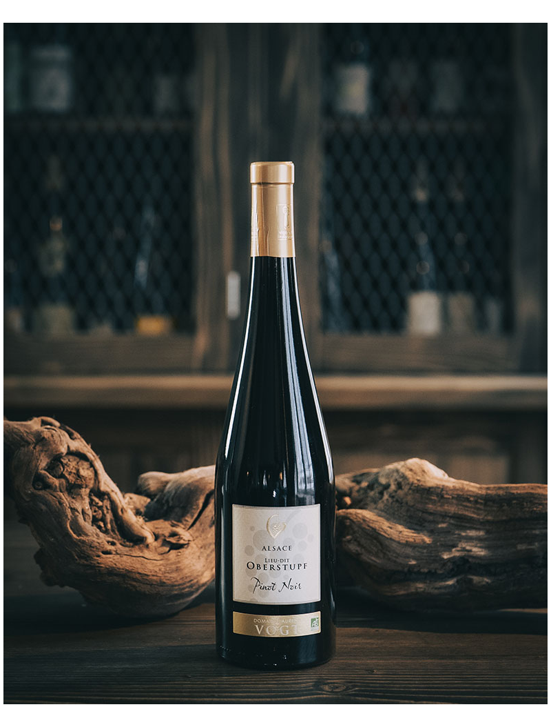 Alsace Pinot Noir Oberstupf – 75 cl – AOP Alsace